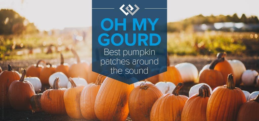 Oh My Gourd: Best Pumpkin Patches Around the Sound