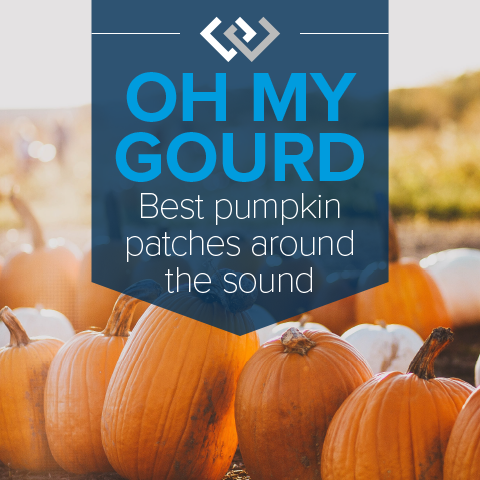 Oh My Gourd: Best Pumpkin Patches Around the Sound